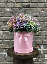Цветочная композиция из Гипсофила и Розы в шляпной коробке в Усолье-Сибирское