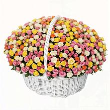 Премиум букет из: Розы в Усолье-Сибирское