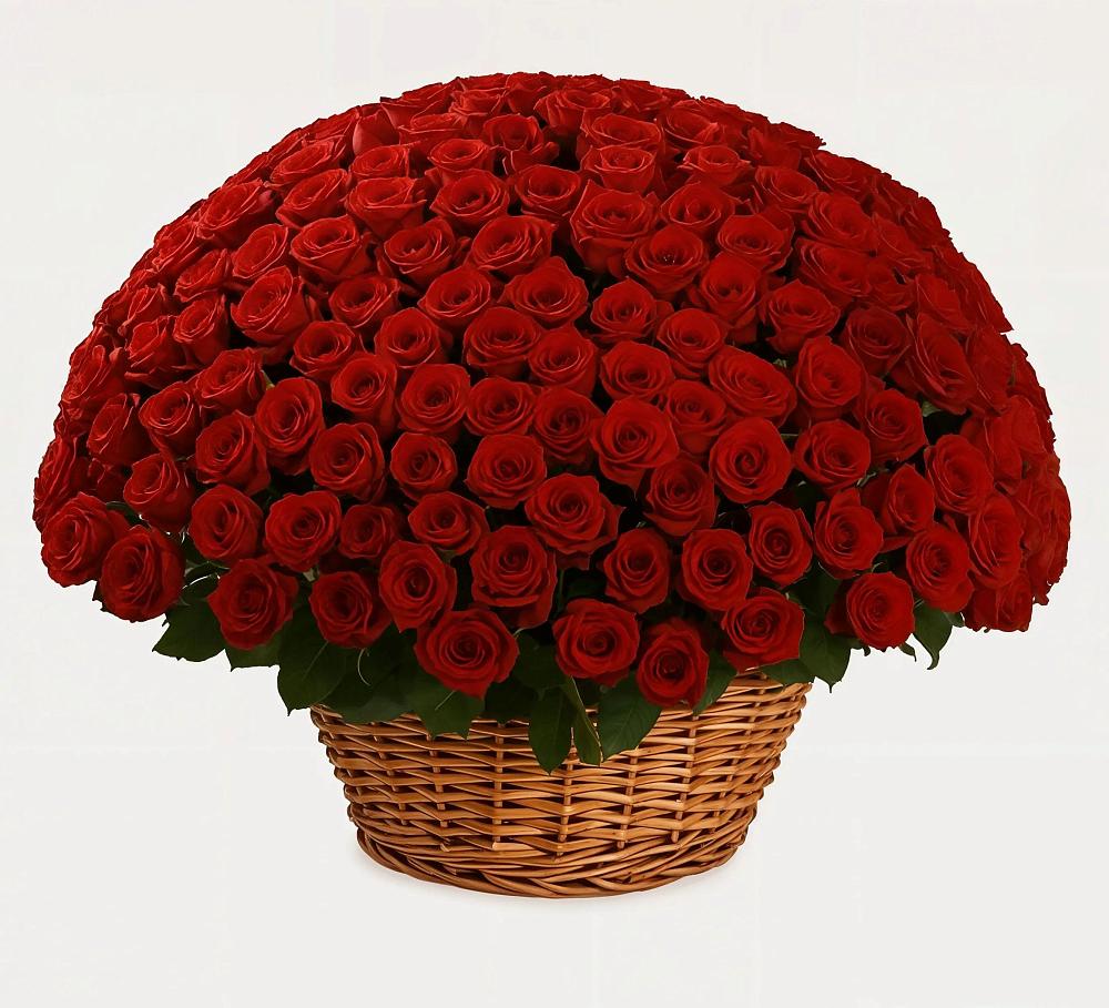 Премиум букет из: Розы в Усолье-Сибирское