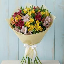 Букет цветов из:  Альстромерии в Усолье-Сибирское