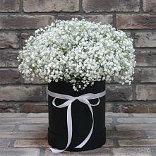 Цветочная композиция из Гипсофила в шляпной коробке в Усолье-Сибирское