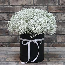 Цветочная композиция из Гипсофила в шляпной коробке в Усолье-Сибирское
